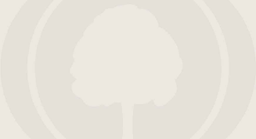 חדש: MyHeritage מוסיפה אימות דו-שלבי (2FA) לאבטחת חשבונכם