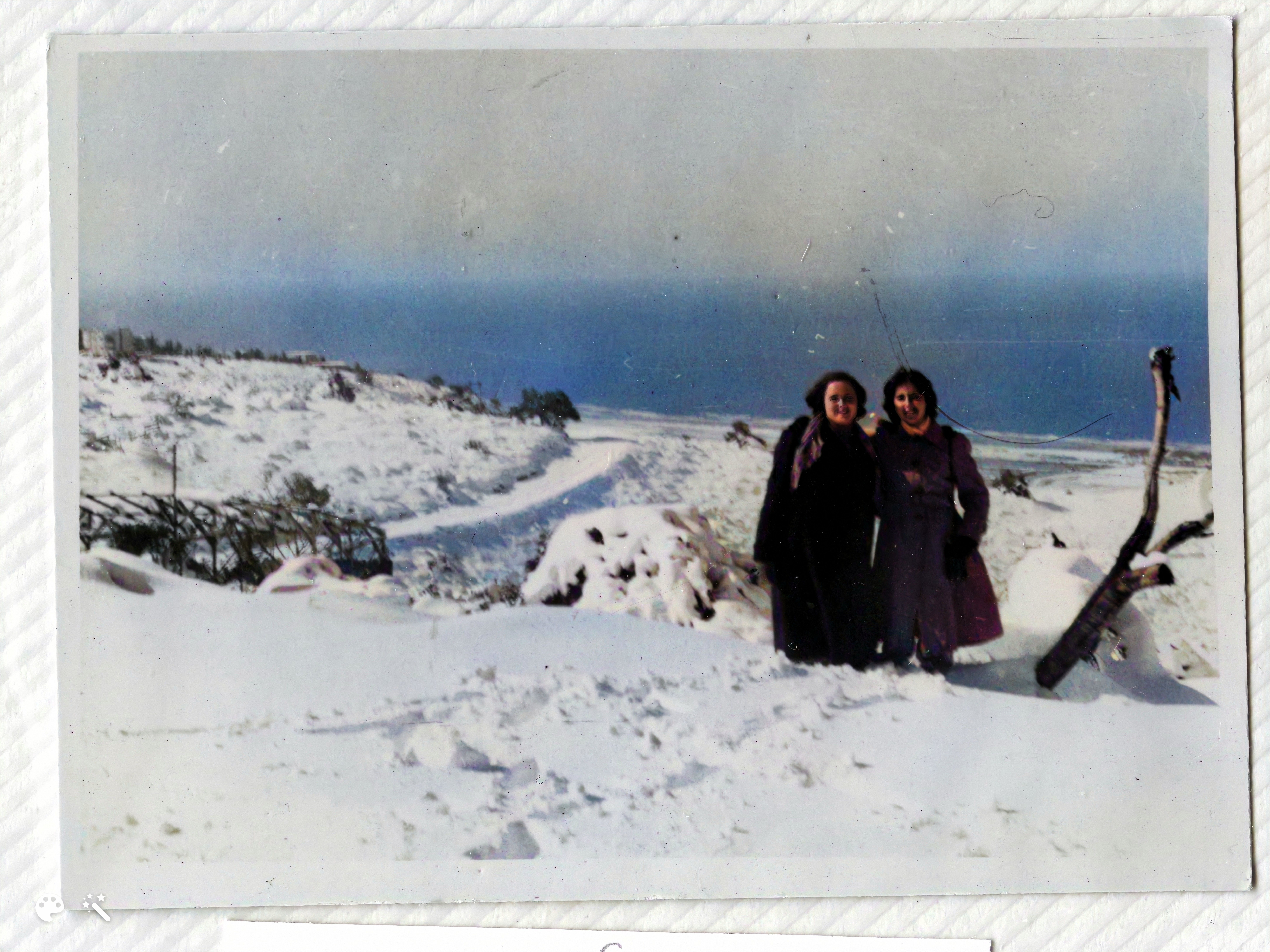 כשישראל נצבעה בשלג בפברואר 1950