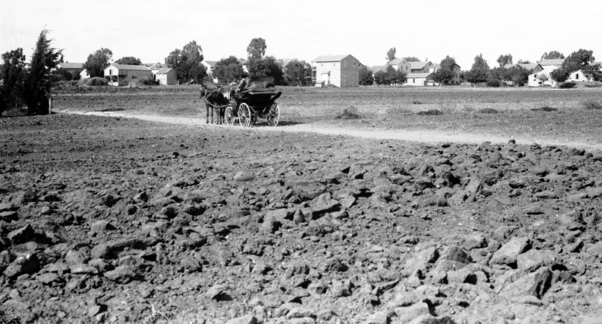 השבוע לפני 70 שנה: פליטים יהודים מיישבים את שרונה, הגיליון הראשון של מעריב ו-"טה" ויסוצקי