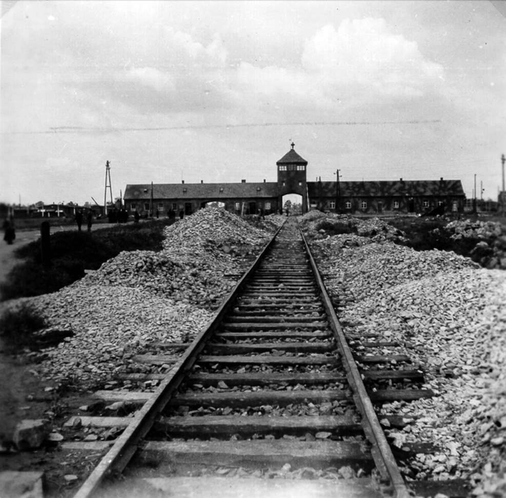 פסי הרכבת בכניסה למחנה בירקנאו באדיבות אתר לוחמי הגטאות